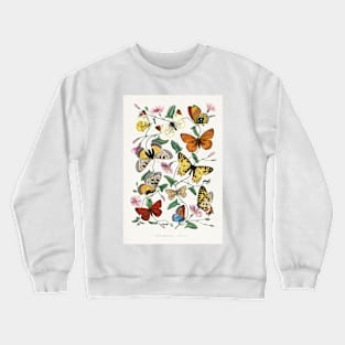 Butterfly & moth painting Crewneck Sweatshirt